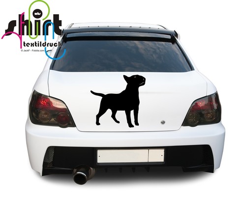 483 bull terrier - bull, cane