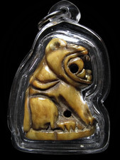 POTENTE! Dente di tigre LP