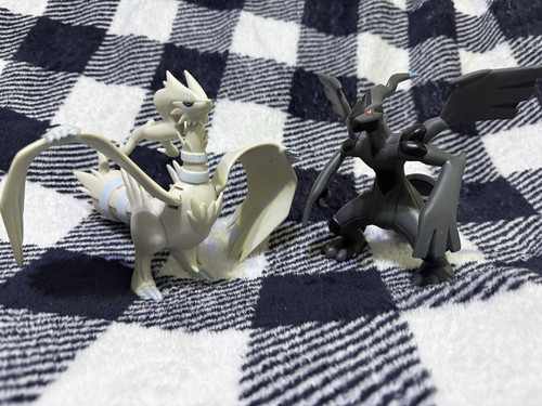 Pokémon nintendo reshiram - reshiram, &