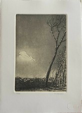 Rodolfo Ceccotti acquaforte acquatinta Paesaggio  35x25 firmata numerata 31/50