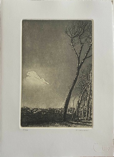 Rodolfo ceccotti acquaforte - rodolfo,