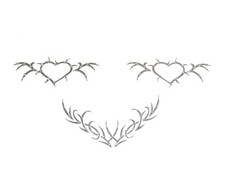 Adesivi copri capezzoli set da