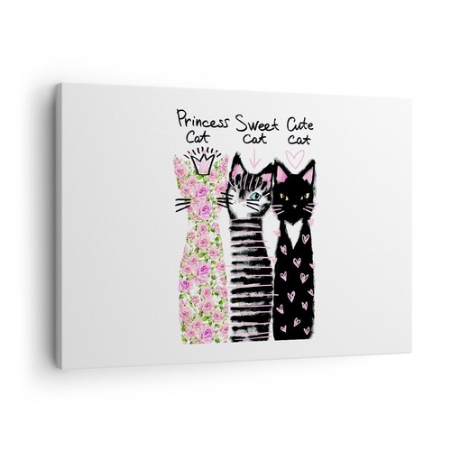 Quadro tela 70x50cm - su, gatti