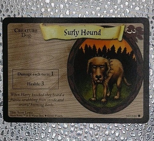 Harry potter tcg cane surly - harry,