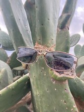 Roberto Cavalli occhiali da sole Mod.PIOMBO424  C.722 donna Made in Italy