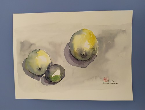 Acquarelli opere uniche - opere,