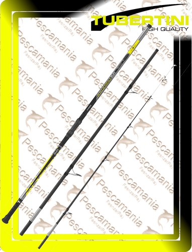 Canna tubertini surf casting - canna,
