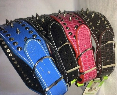 Collare per cani borchie - collare,