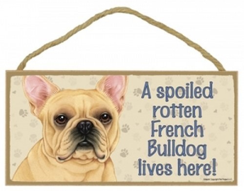 Bulldog francese marcio - un,
