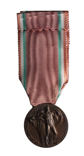 Medaglia volontari di - volontari,