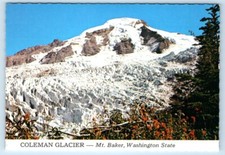 Ghiacciaio Coleman - Mt