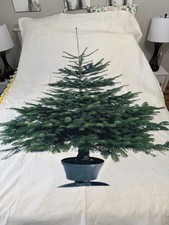 Pannello albero IKEA 2011 60” X 84”
