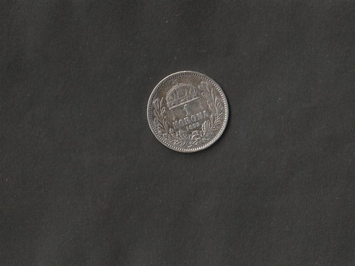 1893 ungheria moneta 1 - da,