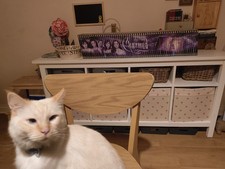 Charmed DVD Collection Boxset,Series 1-8, 59 discs 90s