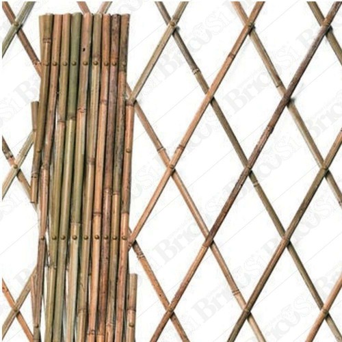 Traliccio legno bamboo - legno,
