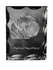 Mastino Napoletano, Mastino