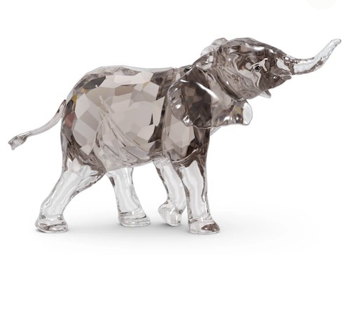 Elefante piccolo scs - elefante,