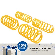 Molle sportive ST 30/30mm