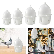 Mangiatoia per piccioni