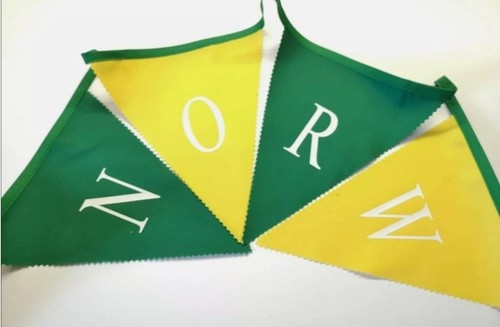 Colori stampati norwich city - colori,