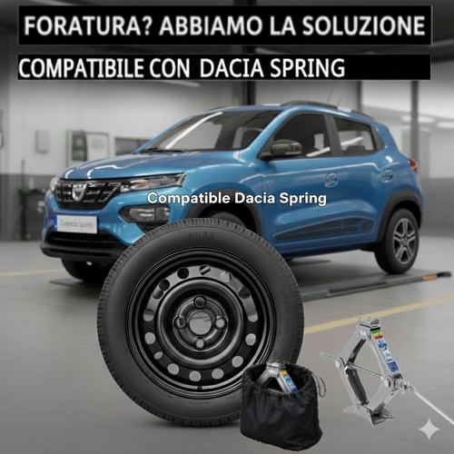 Ruotino scorta dacia - scorta, spring