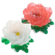  2 Pcs Calamita Frigo
