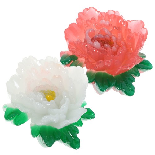 Pcs calamita frigo - ,