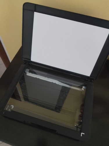 Piatto scanner epson - scanner,