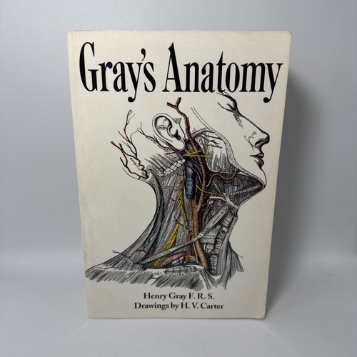 Gray anatomy 1995 - anatomy,