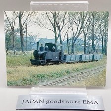 La più piccola locomotiva a