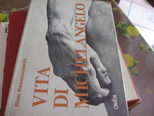 Vita michelangelo - vita, di