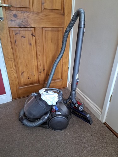 Dyson dc19 bidone - dyson,