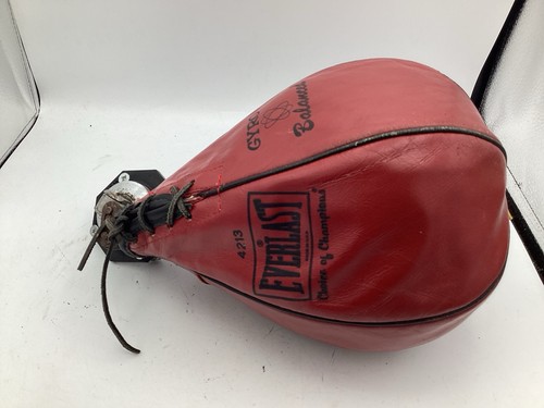 Everlast 4213 giroscopio - everlast, #4213