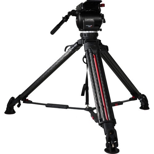 Testina cartoni focus con - focus,