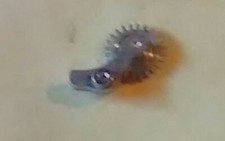  Valjoux  22- GHT, GHS 71