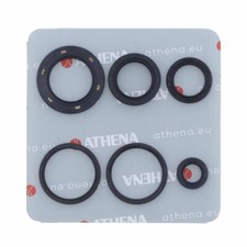 Serie Paraolio per Motore