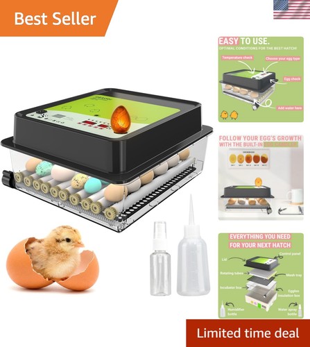 Obi egg incubator with - egg,