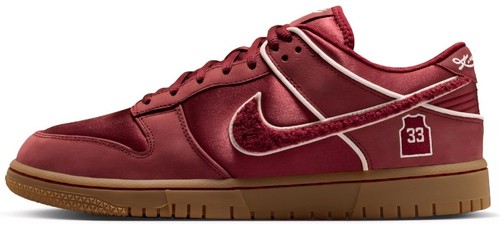 Nike dunk low - nike, protro