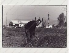 1977 ARCOLA Ugo Fattorini