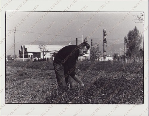 1977 arcola ugo fattorini - arcola,