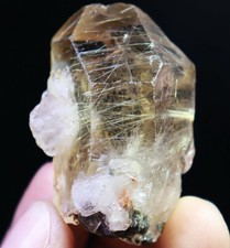 Esemplare punta bacchetta