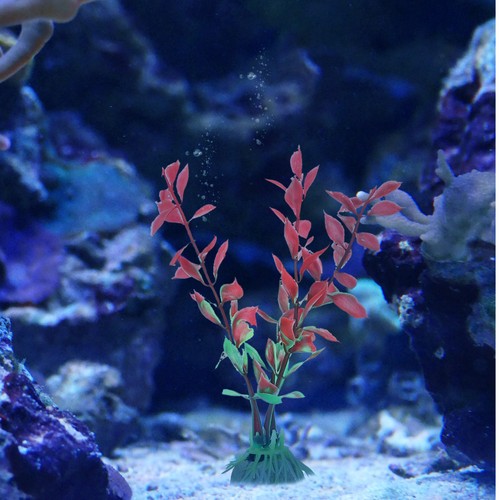 Pcs accessori acquario - pcs,