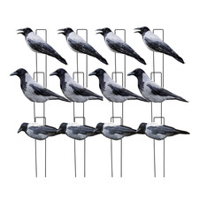 Stampo esca caccia Cornacchia