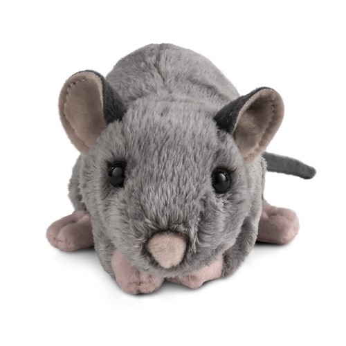 Living nature ratto con - living,