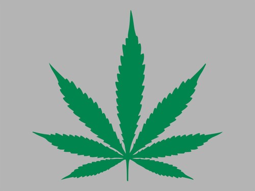 Adesivo marijuana foglia erba - marijuana,