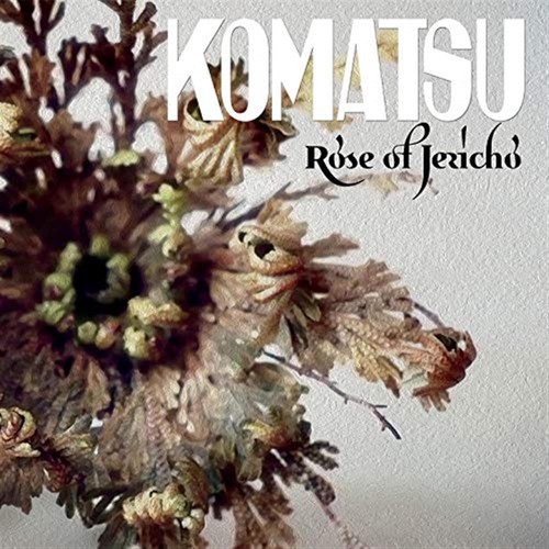 Rose jericho komatsu - rose,