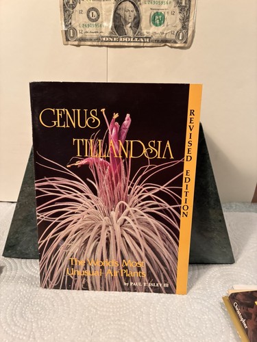 Rare genus tillandsia revised - tillandsia,