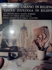 8 Nova Rico Anatomy Human Body