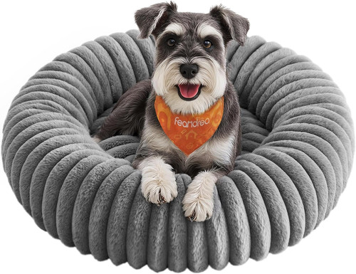 Cuccia per cani gatti - cani, e