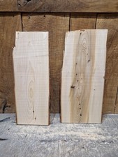 Lastra di cedro legno bordo